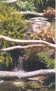 NZ-Waterfall-1_th.jpg